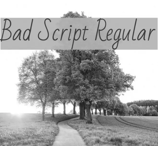 Bad Script Regular Example 2