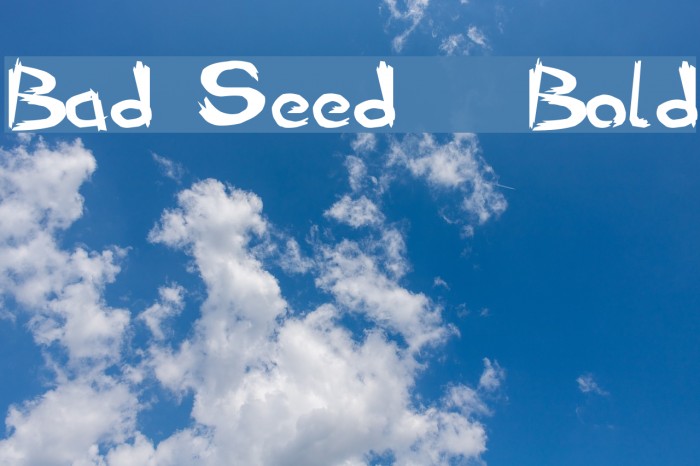 Bad Seed Bold Polices examples