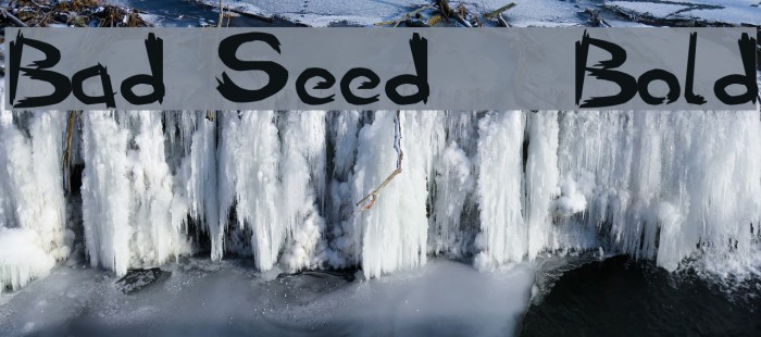 Bad Seed Bold Polices examples