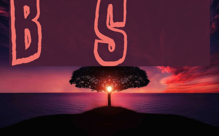 Bad Stories Example 3