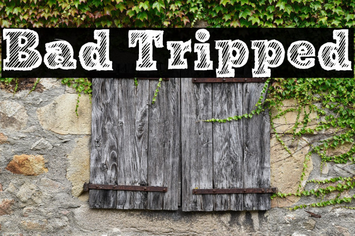 Bad Tripped Example 2