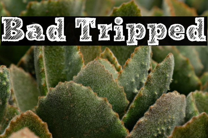 Bad Tripped Example 3