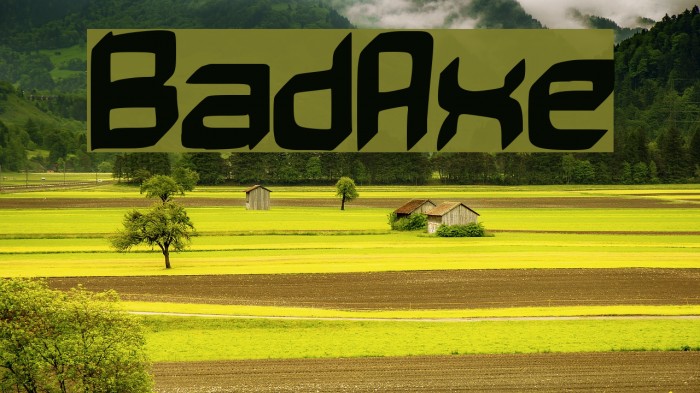 BadAxe Font examples