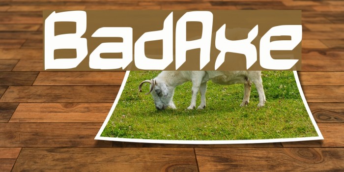 BadAxe Font examples