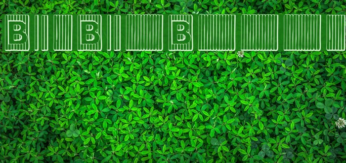 BadBaltimoreBeveled Example 1