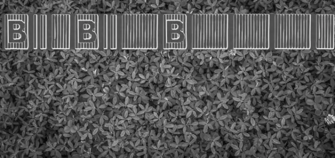 BadBaltimoreBeveled Font examples