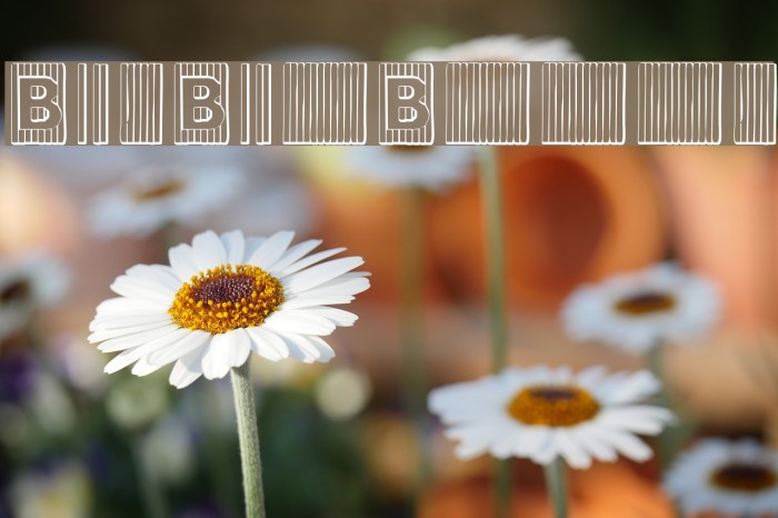 BadBaltimoreBeveled Example 2