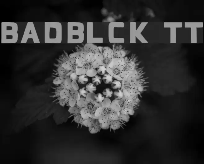 BadBlocks TT Font examples