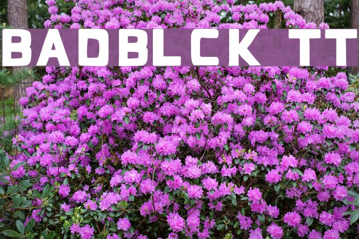 BadBlocks TT Font examples