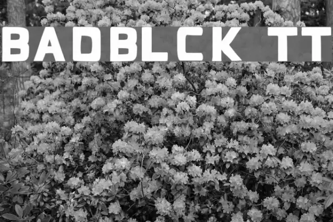 BadBlocks TT Font examples