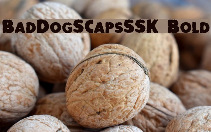 BadDogSCapsSSK Bold Font examples