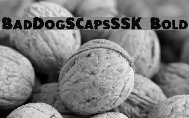 BadDogSCapsSSK Bold Шрифта examples