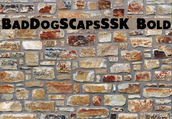 BadDogSCapsSSK Bold Font examples