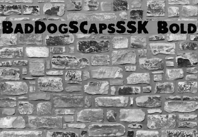 BadDogSCapsSSK Bold Шрифта examples