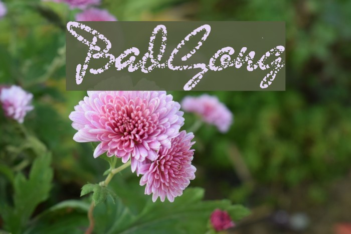 BadGong Fuentes examples