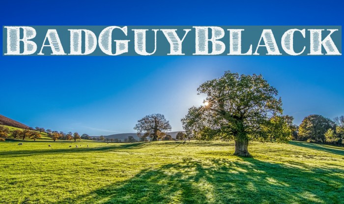 BadGuyBlack Example 2