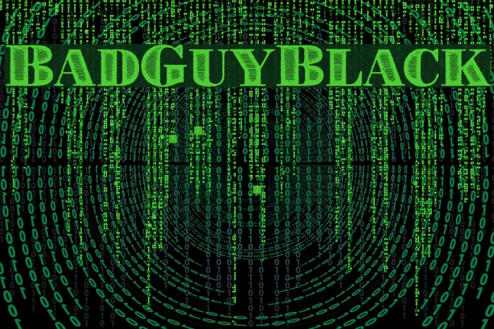 BadGuyBlack Example 3