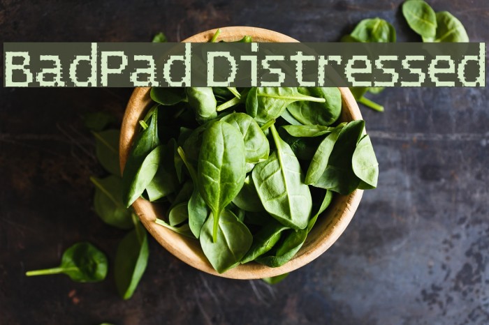 BadPad Distressed Font examples