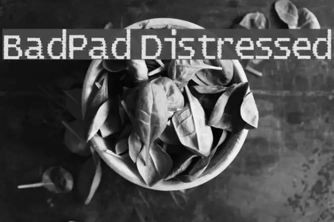 BadPad Distressed フォント examples