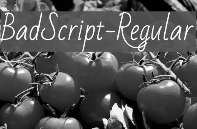 BadScript-Regular Example 2