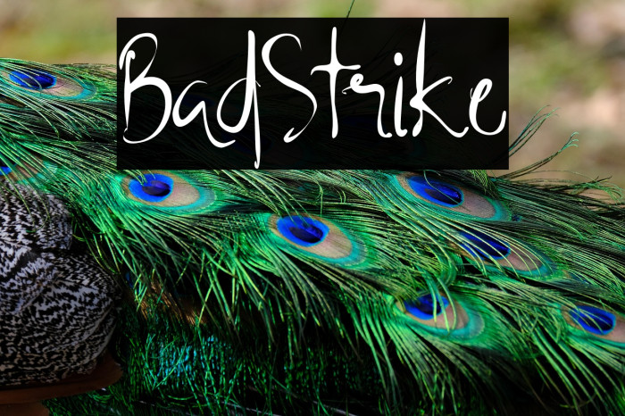 BadStrike Example 2