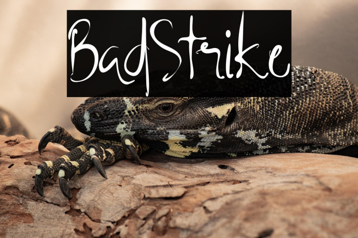 BadStrike Example 3