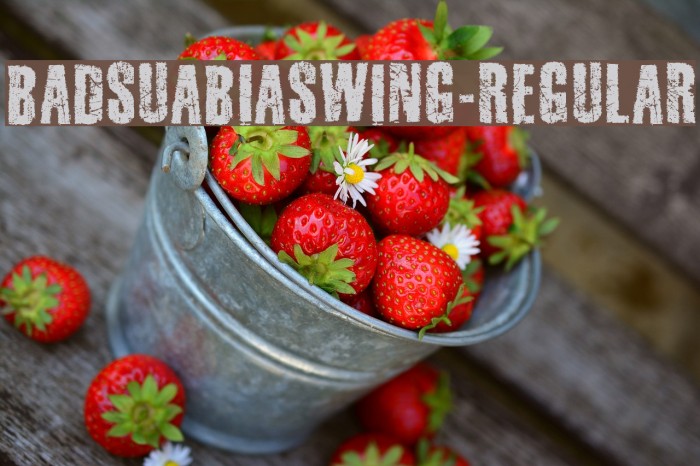 BadSuabiaSwing-Regular Font examples