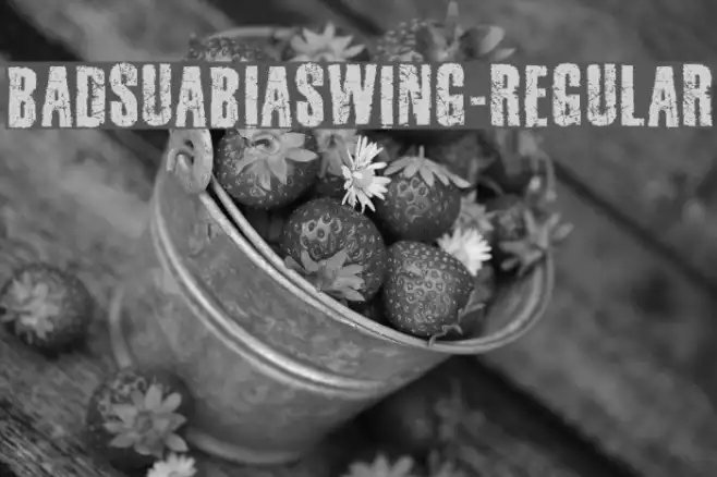 BadSuabiaSwing-Regular Example 2