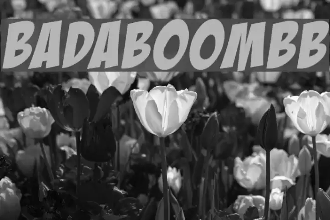 BadaBoomBB Font examples