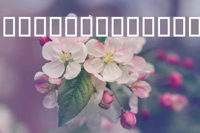 Badakhsh Light Example 1