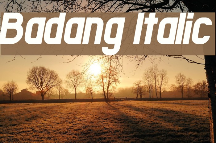 Badang Italic Font examples