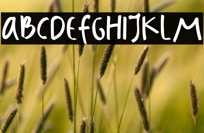 Badass Holliday Demo Sans Example 1