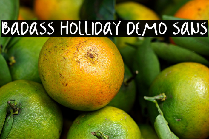 Badass Holliday Demo Sans Example 1
