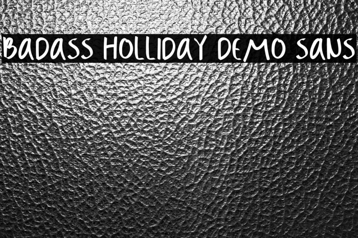 Badass Holliday Demo Sans Example 2