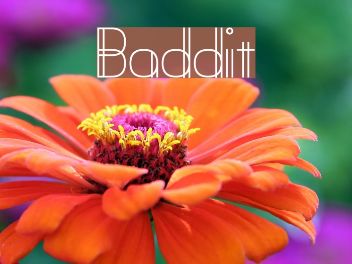 Baddit Font examples