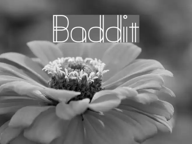 Baddit Schriftart examples