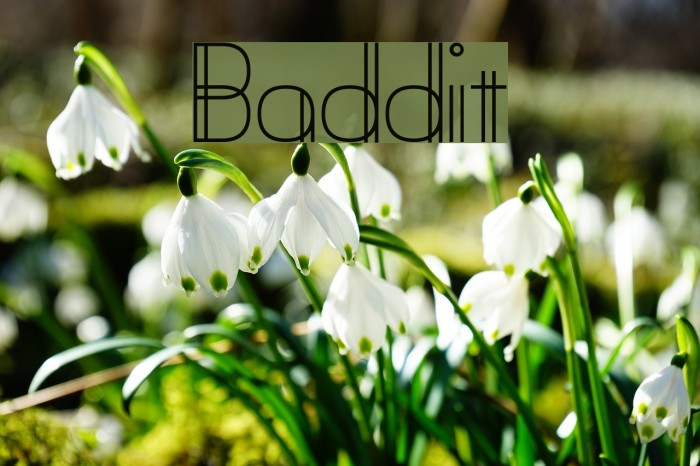 Baddit Font examples