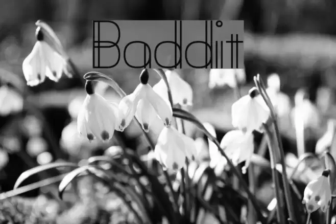 Baddit Schriftart examples
