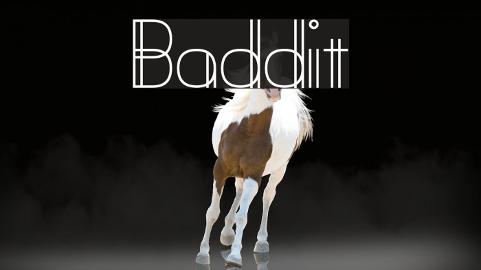 Baddit Font examples