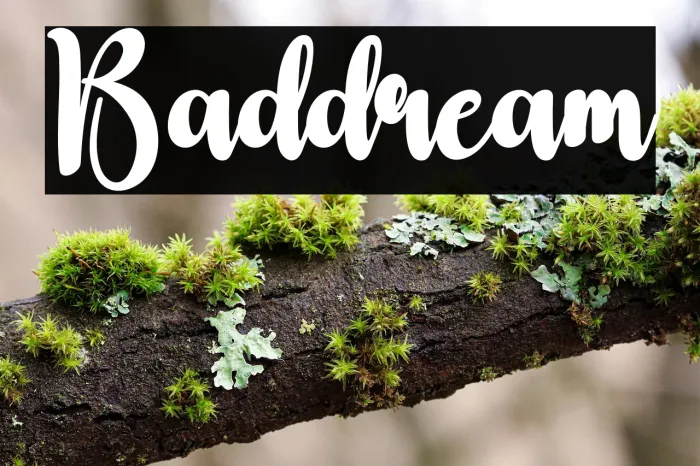 Baddream Example 3
