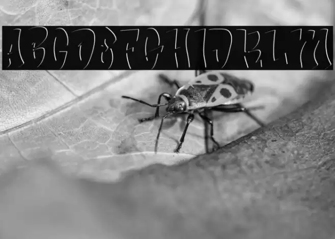 Bade Hoper inner फ़ॉन्ट examples