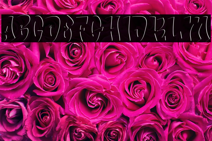 Bade Hoper inner Example 3