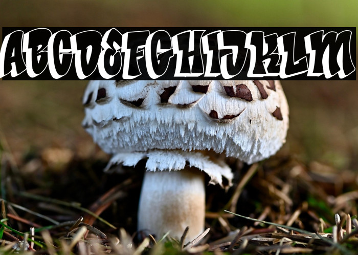 Bade Hoper shadow Example 2