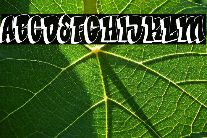 Bade Hoper shadow Example 3