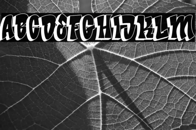 Bade Hoper shadow Font examples