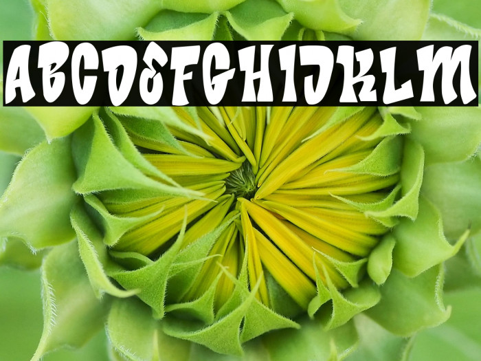 Bade Hoper Example 1