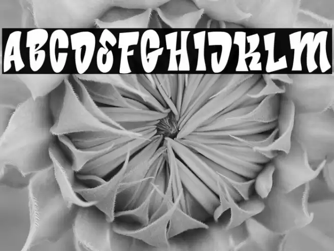 Bade Hoper Font examples