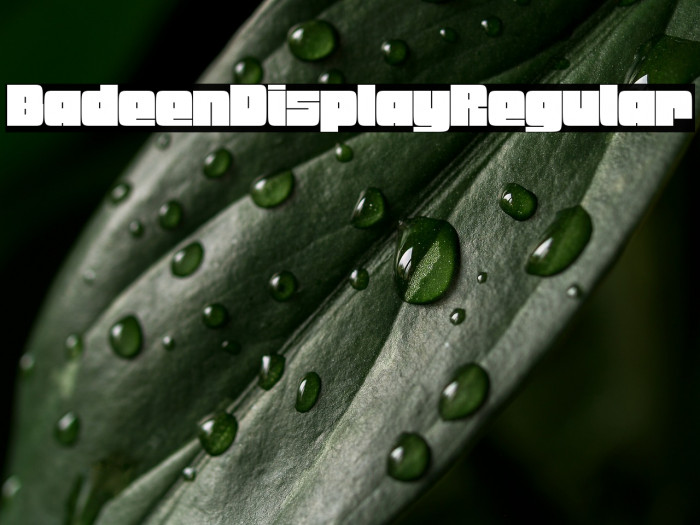 Badeen Display Regular Example 2