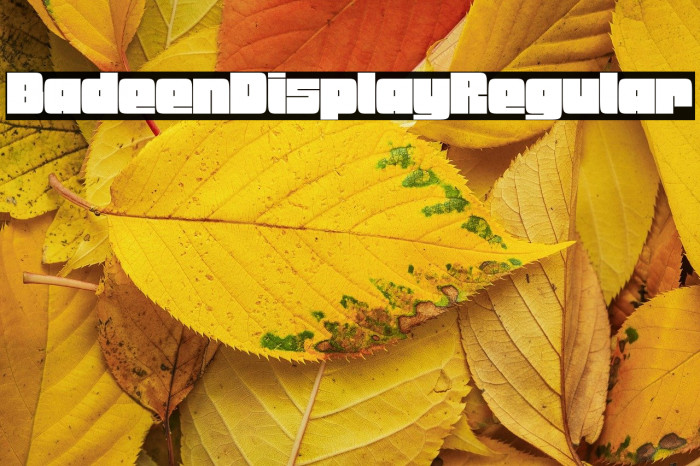Badeen Display Regular Example 3