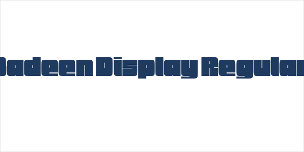 Badeen Display Regular Logo